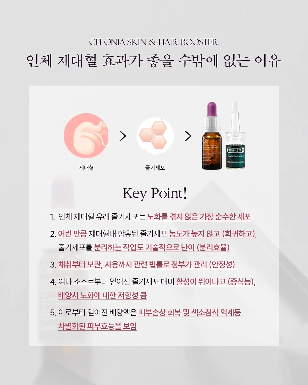 실크블렌드하프슬리브니트점퍼; 라운드넥언밸런스 헴티셔츠; 실크블렌드니트퀼로트팬츠 16