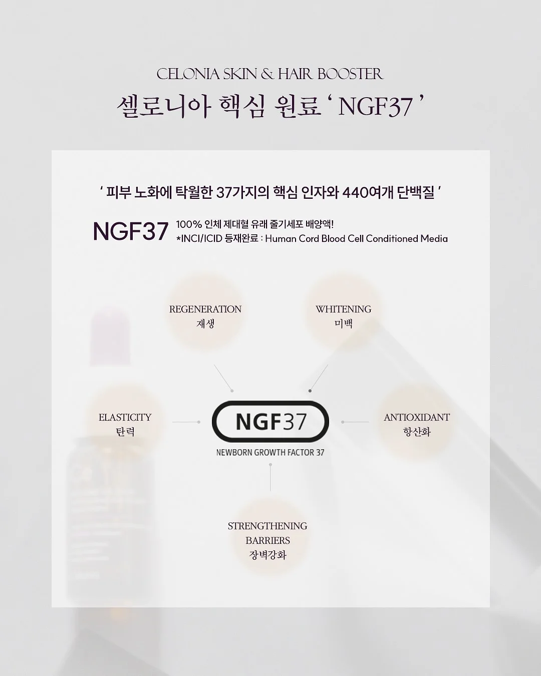 실크블렌드하프슬리브니트점퍼; 라운드넥언밸런스 헴티셔츠; 실크블렌드니트퀼로트팬츠 18