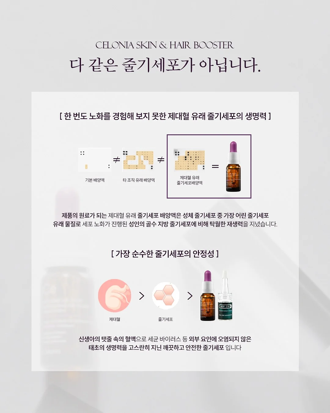 실크블렌드하프슬리브니트점퍼; 라운드넥언밸런스 헴티셔츠; 실크블렌드니트퀼로트팬츠 19