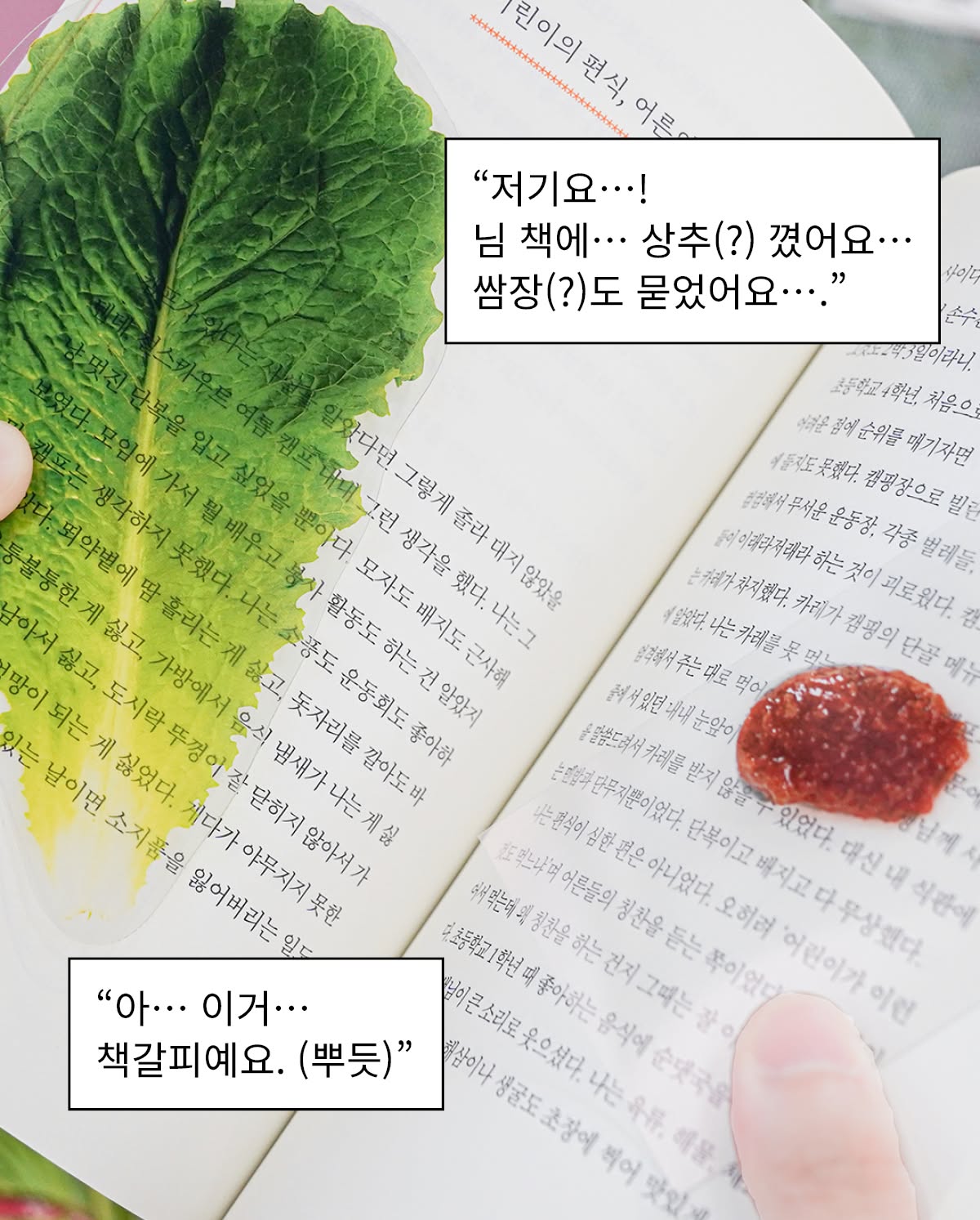 휠 커버 2