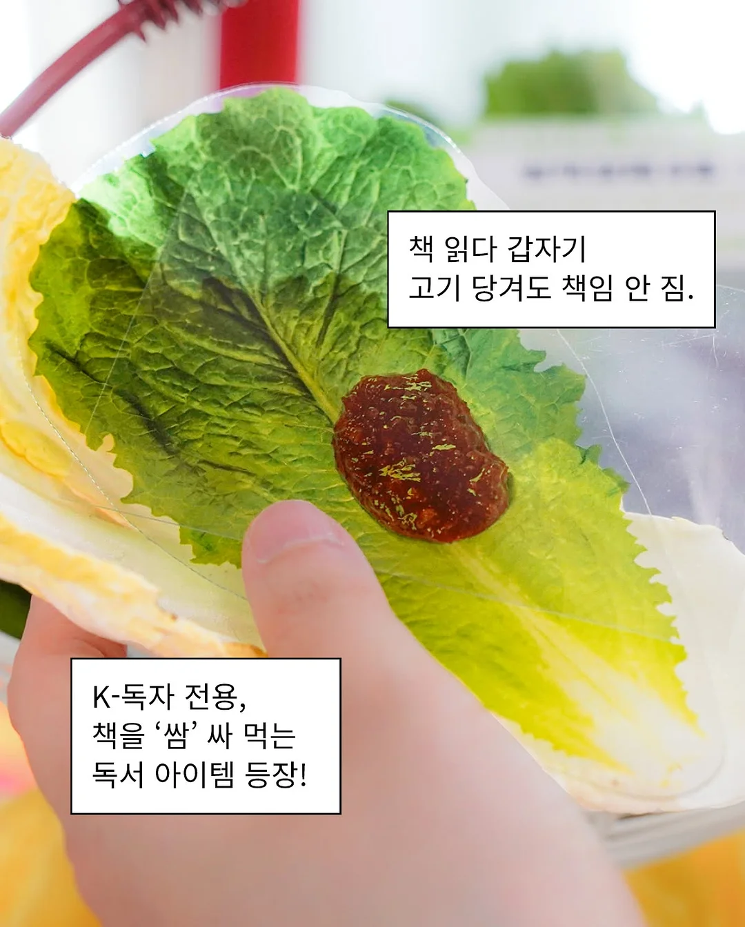 휠 커버 3