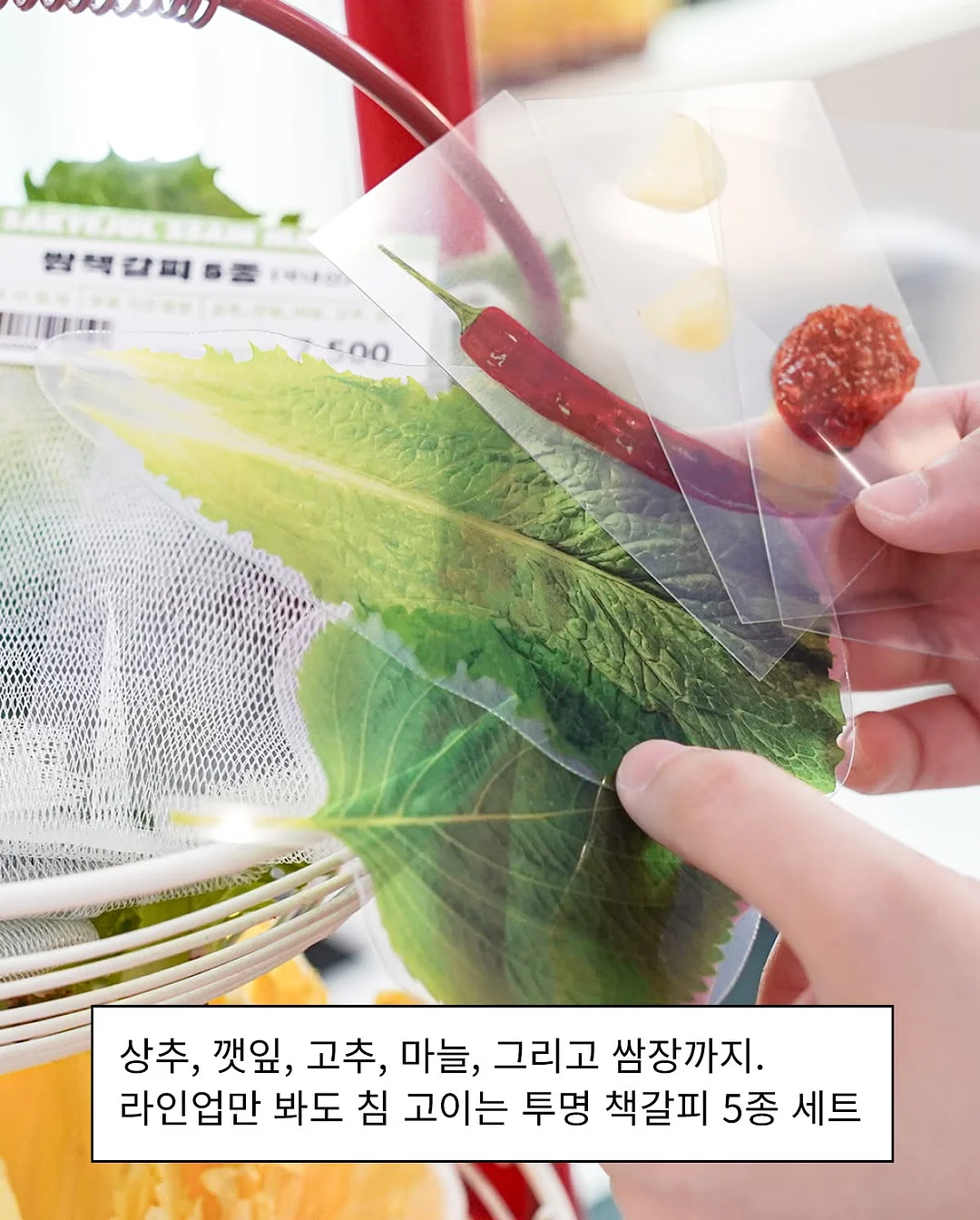 휠 커버 4