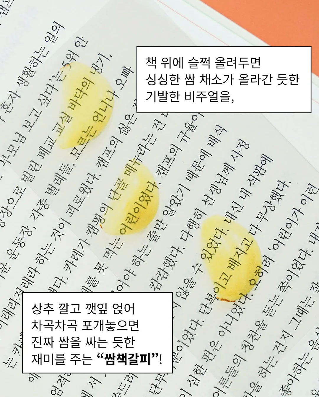 휠 커버 5
