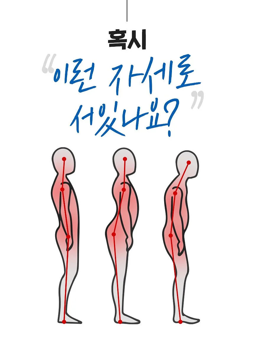 건강식품 15