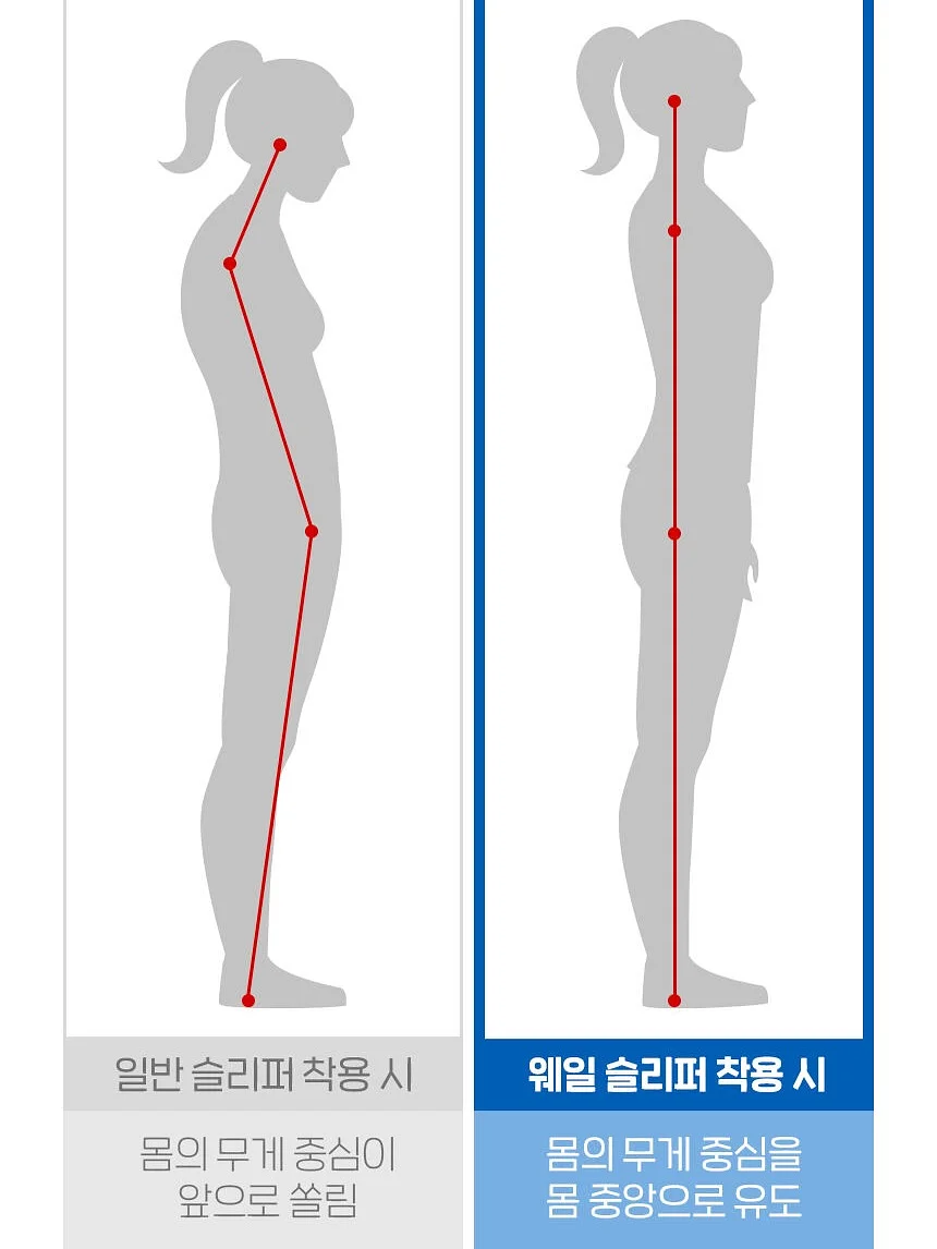 건강식품 17