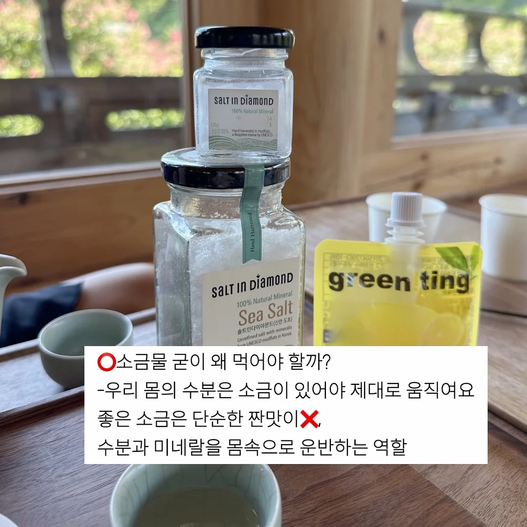 셈포르나 프리다이빙 투어 11