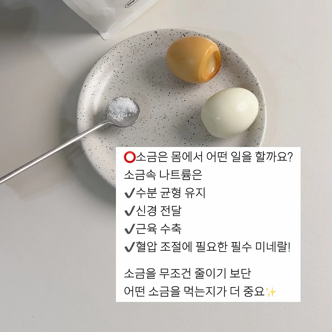 셈포르나 프리다이빙 투어 13
