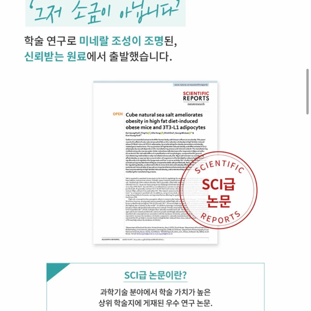 셈포르나 프리다이빙 투어 20