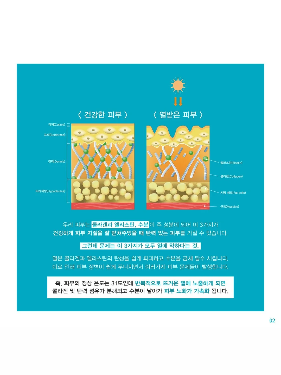 같은 그림을 기억해요 활동지 2단계 8