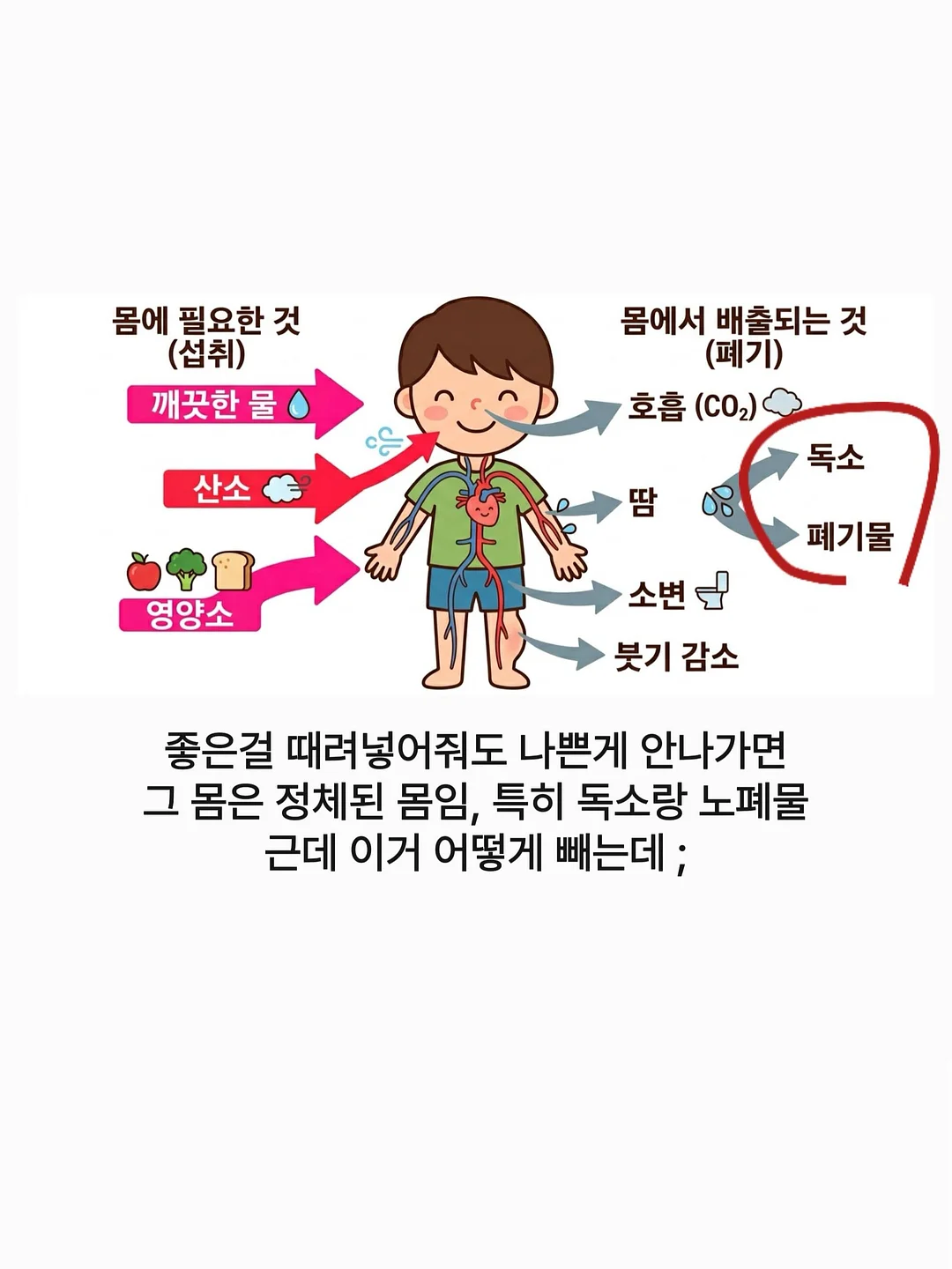 펭귄 샤워기 거치대 12