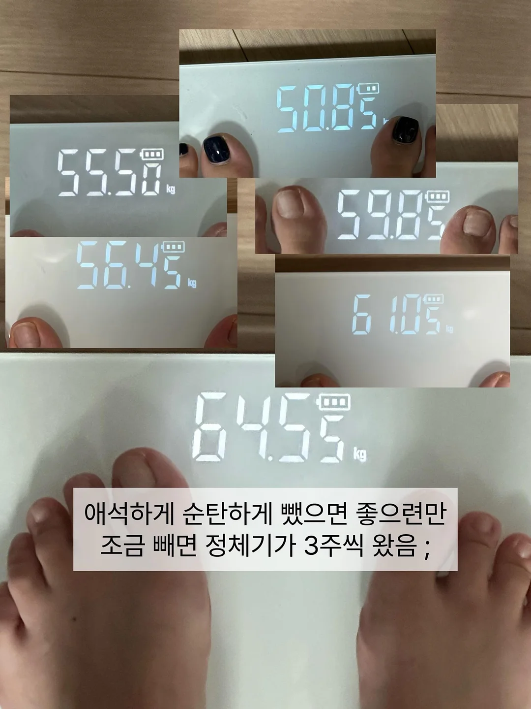 펭귄 샤워기 거치대 3