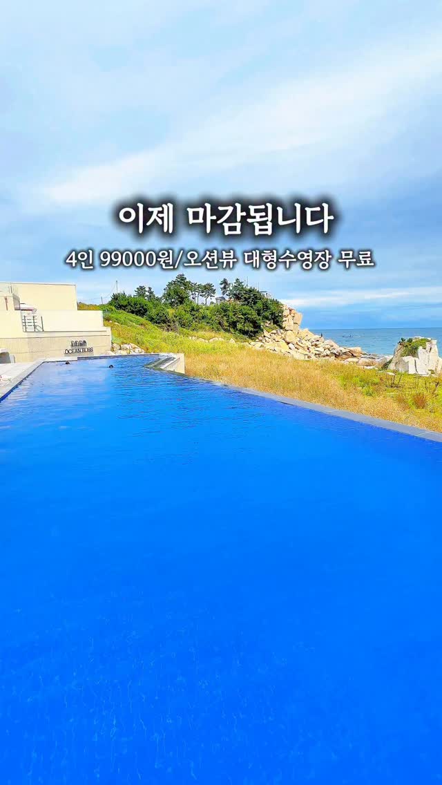 설향 딸기