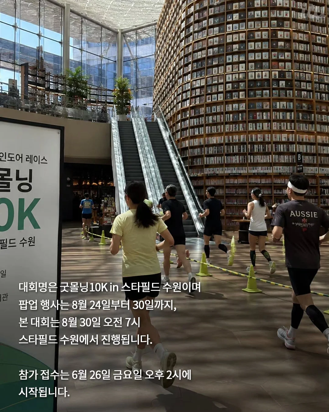 버뮤다 팬츠 4