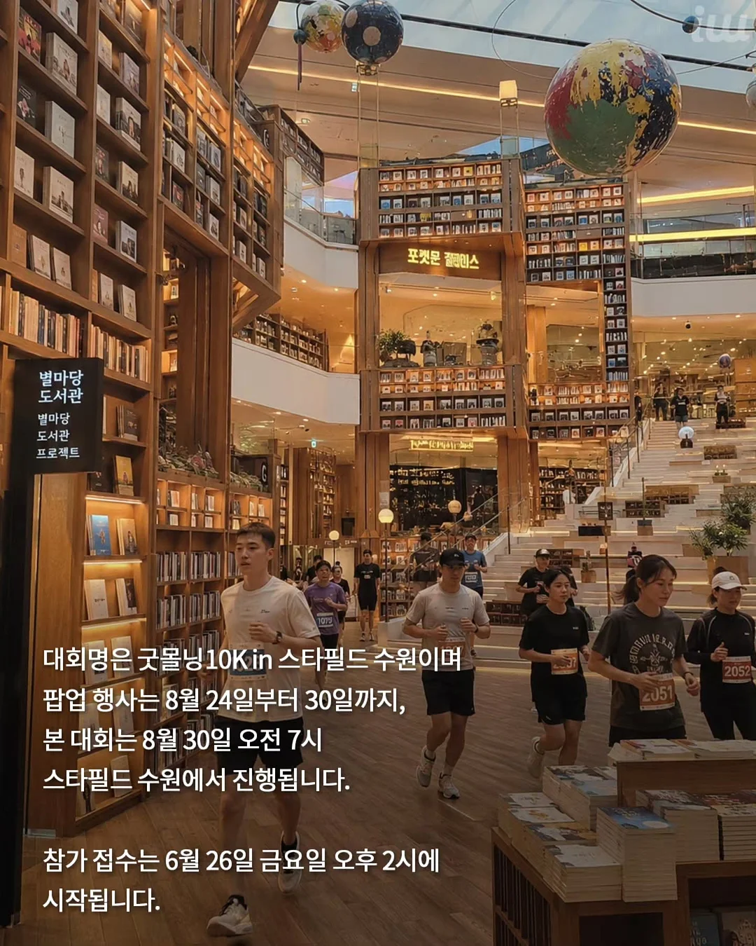 버뮤다 팬츠 5