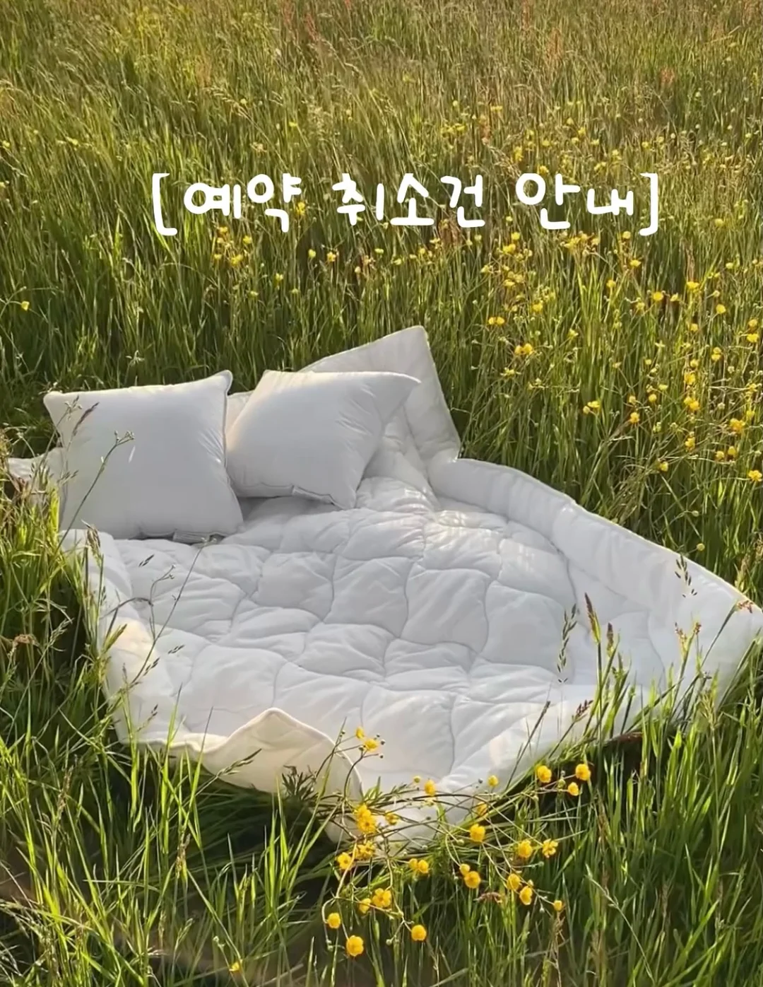마카롱 7부 상하SET