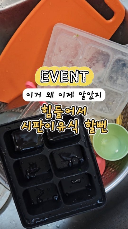 무늬보스턴 고사리