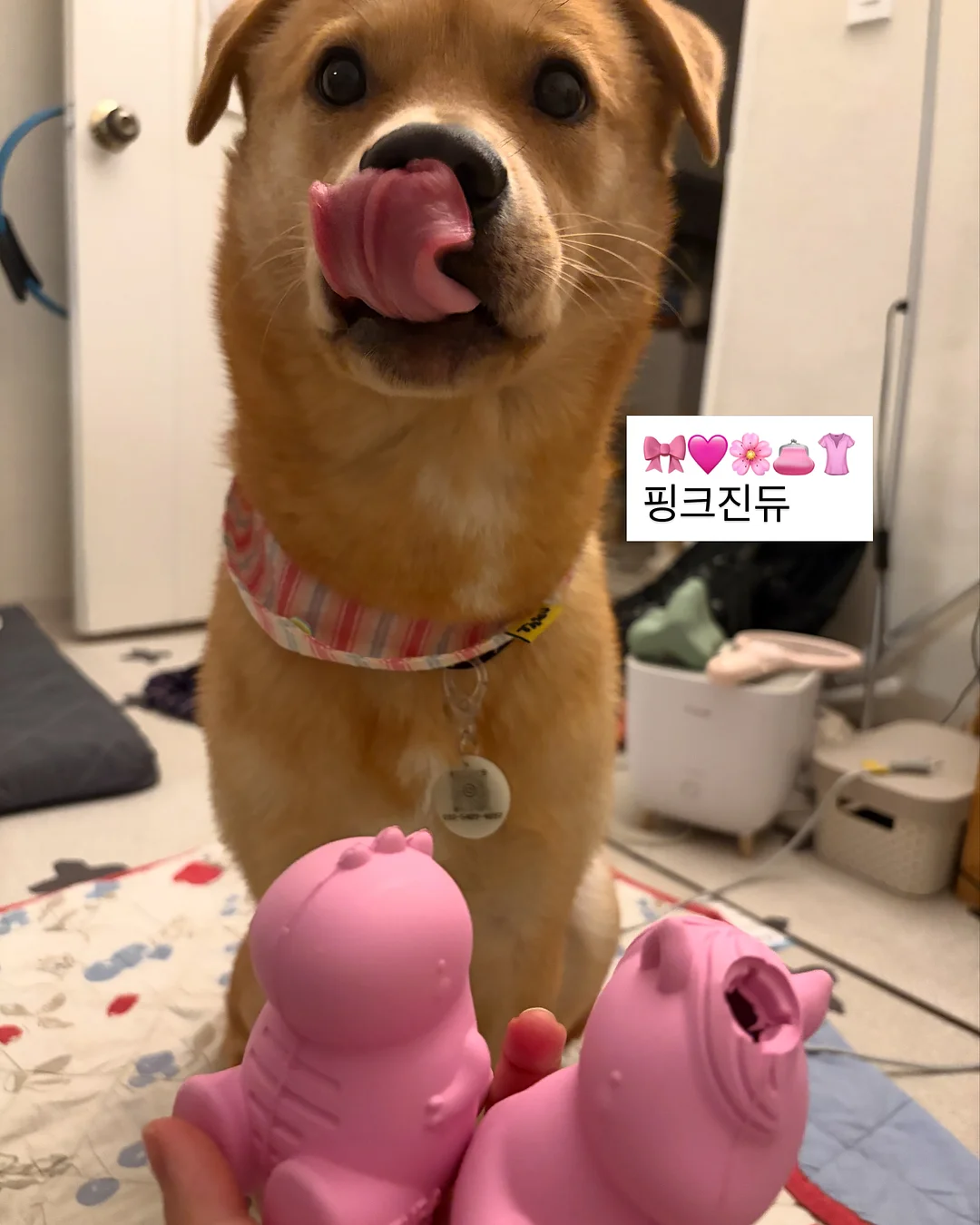 스프링 솜털 제거기 17