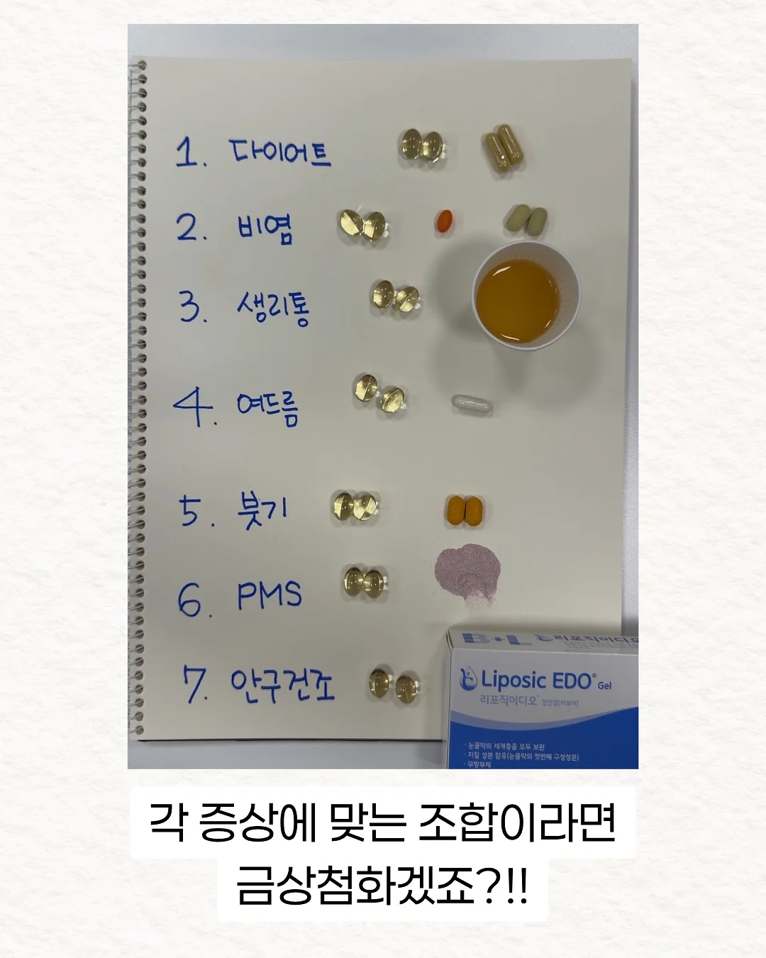 차량용 햇빛 가리개 11