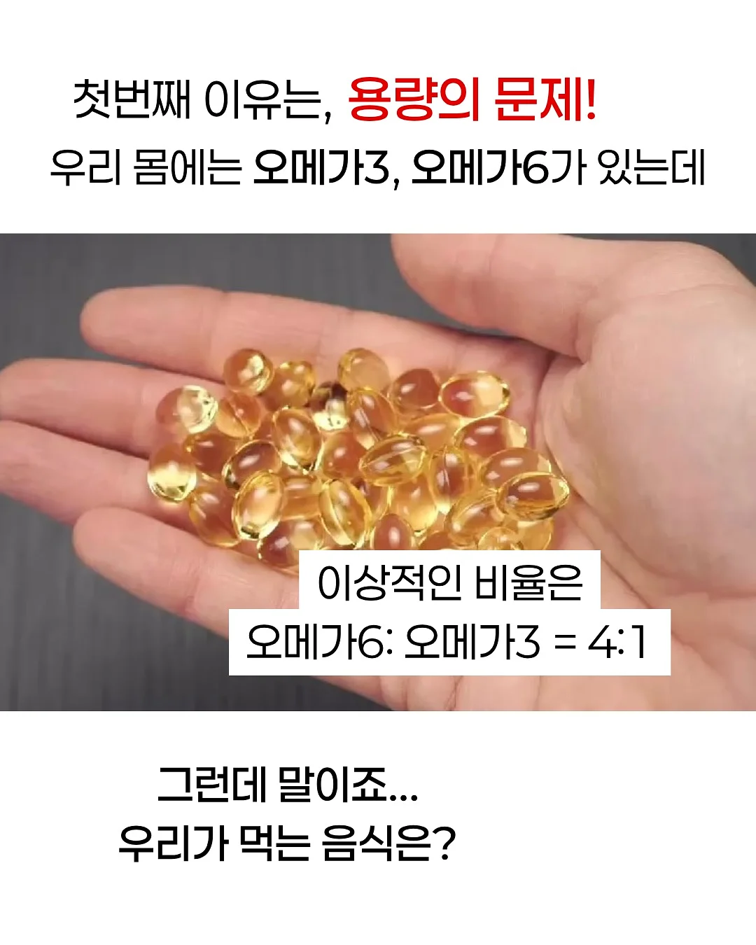 차량용 햇빛 가리개 2