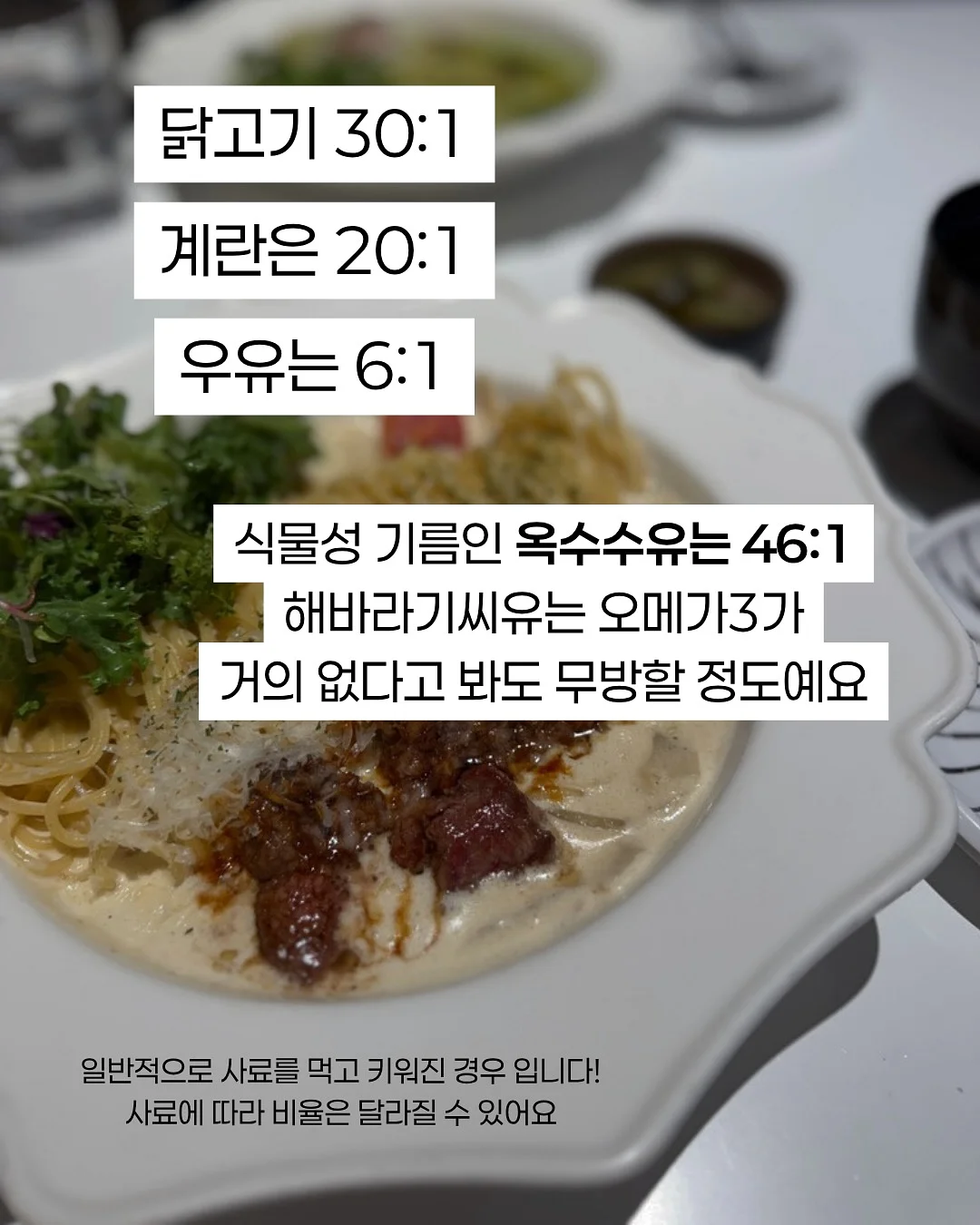 차량용 햇빛 가리개 3