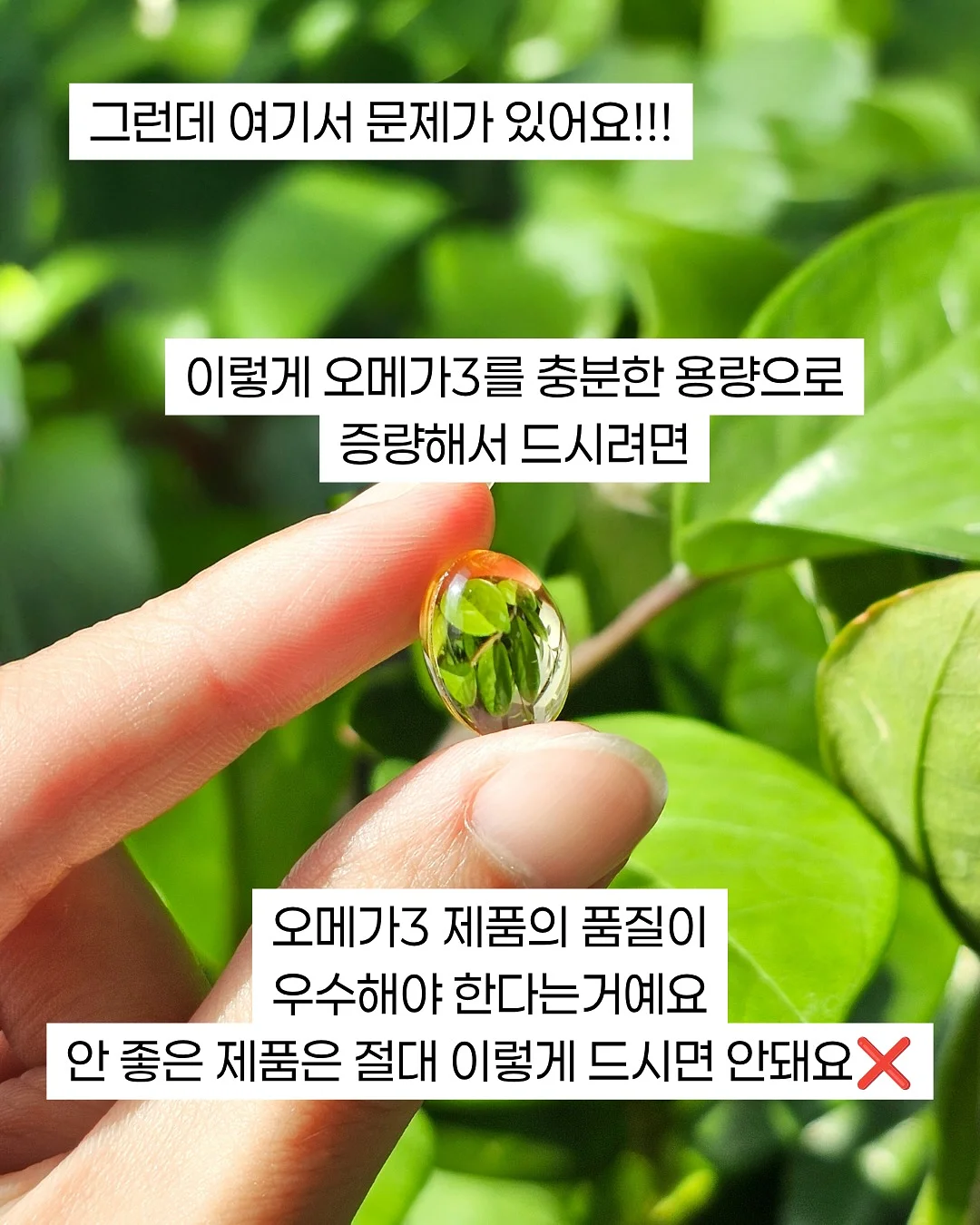 차량용 햇빛 가리개 6
