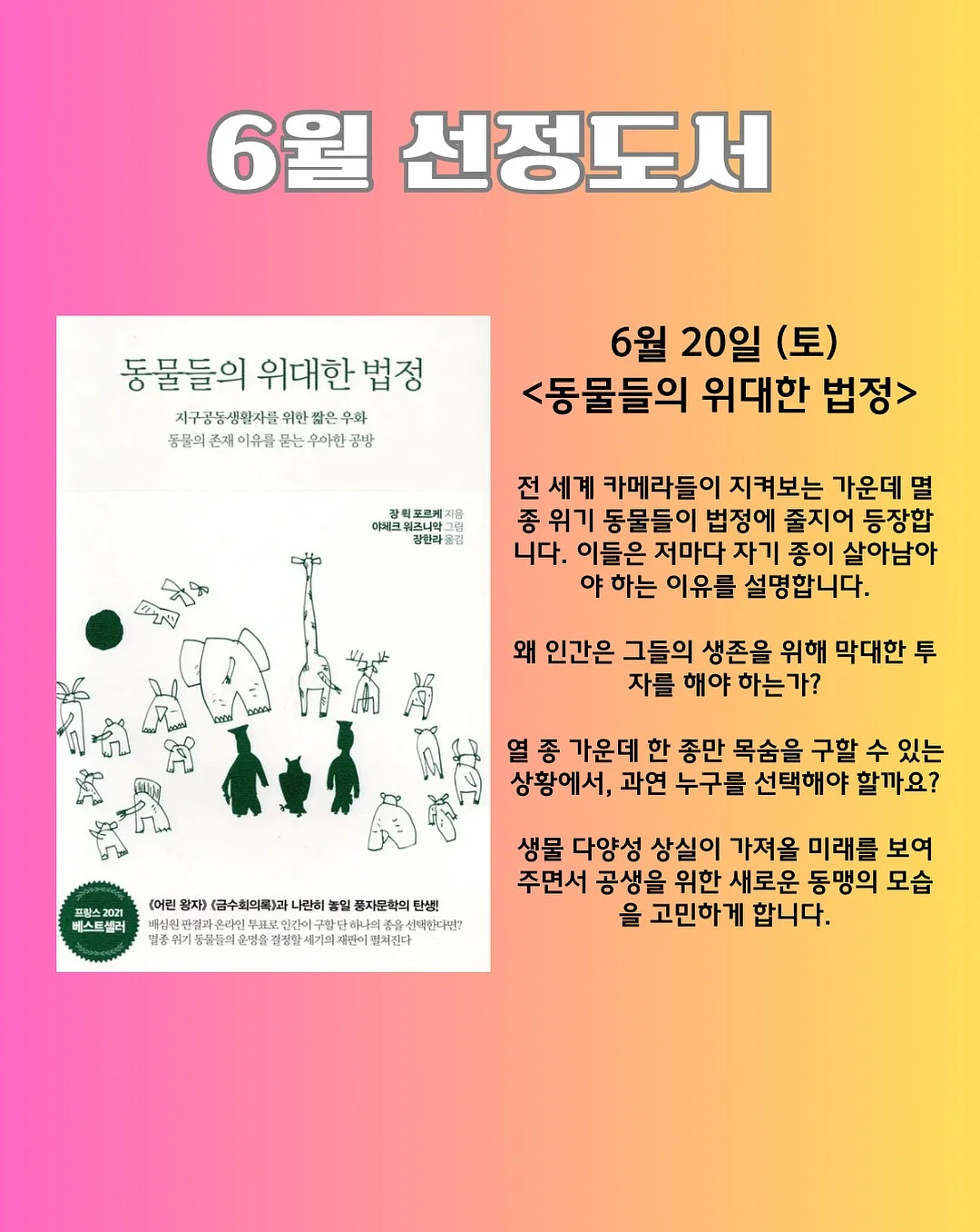 자연산 비단 가리비 3