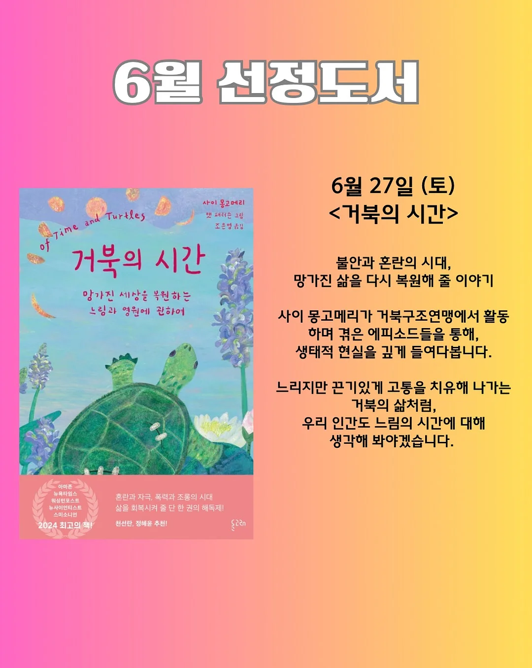 자연산 비단 가리비 4