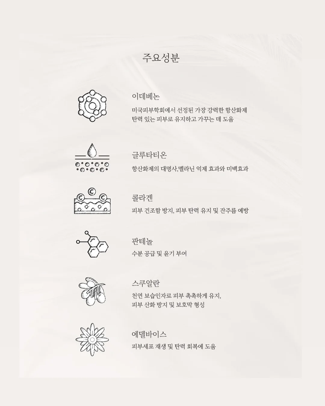 숏폼 테마특강 6