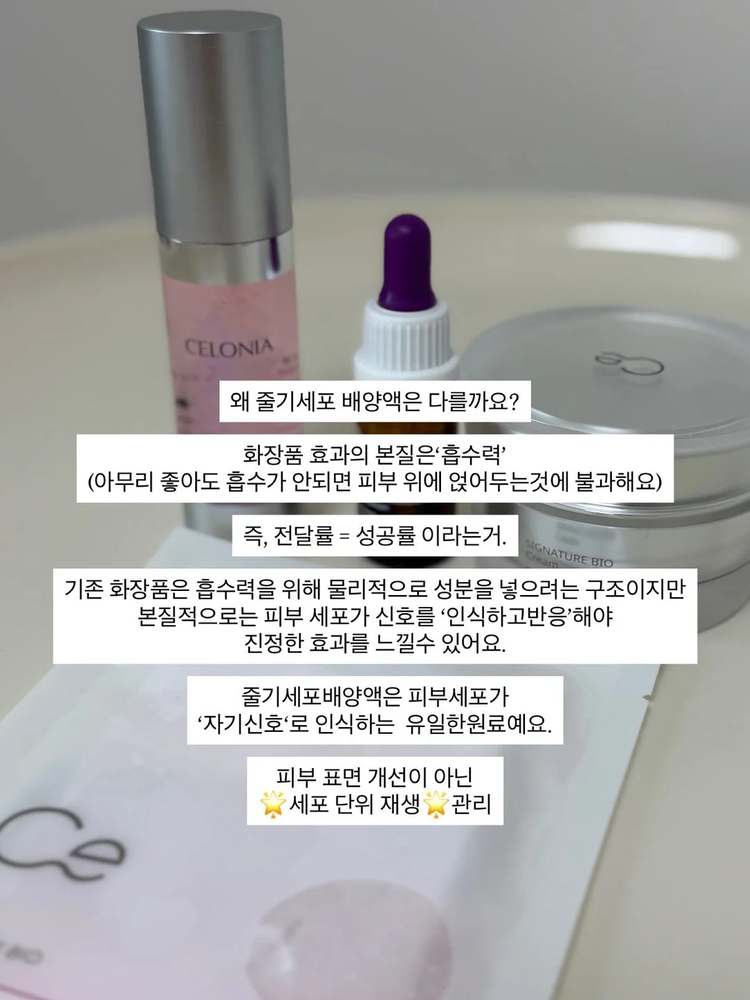 스톤 페인트 6
