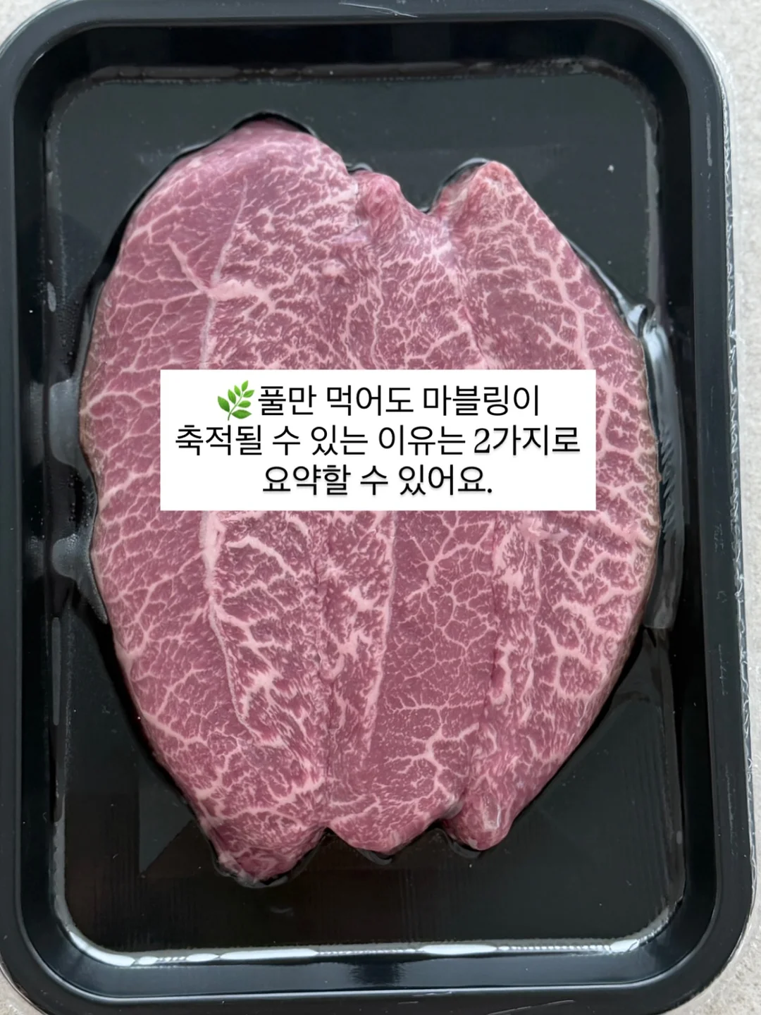 게스트보드 방명록 3