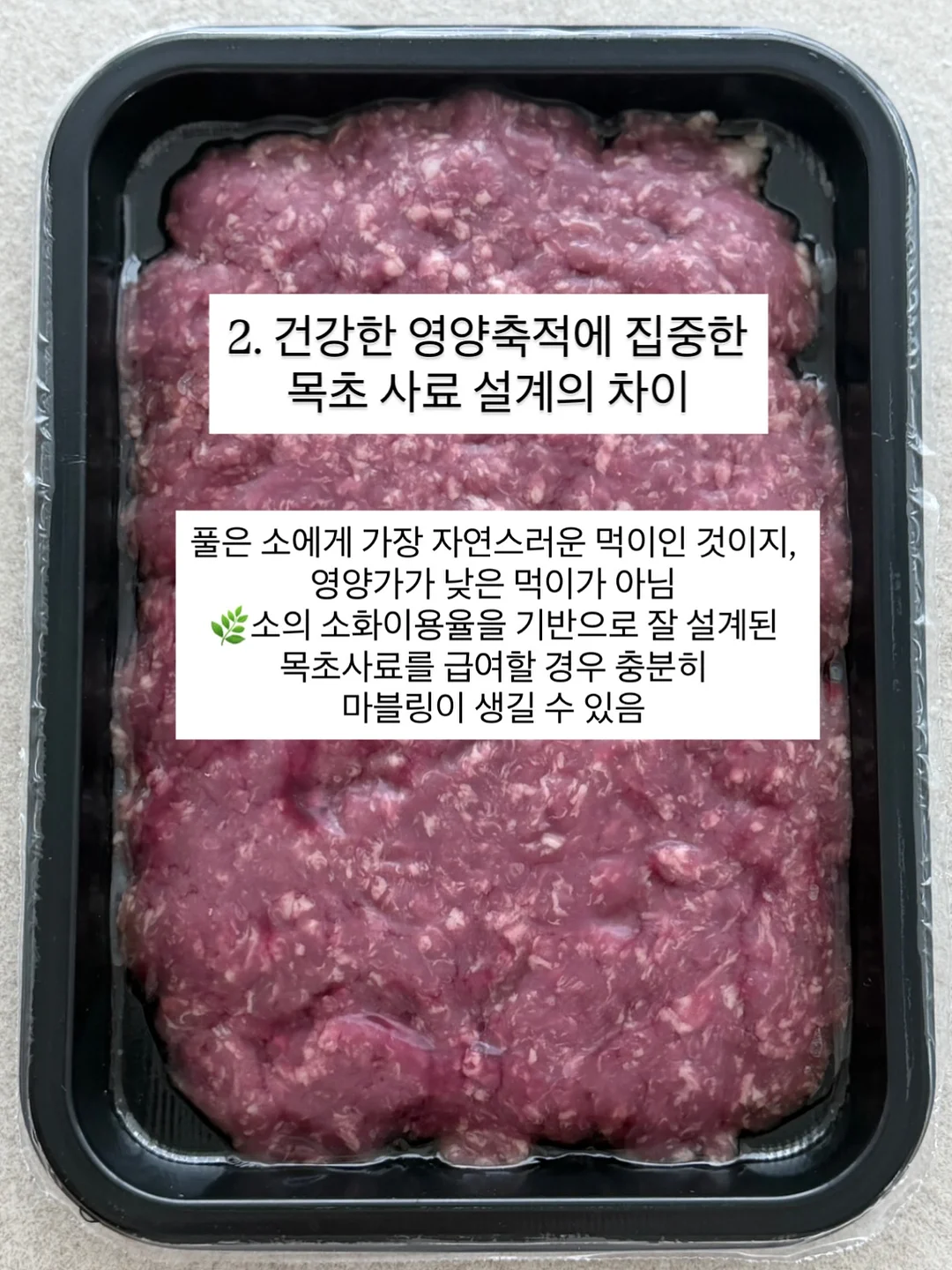 게스트보드 방명록 5