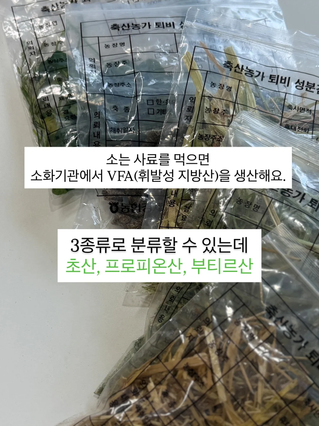 게스트보드 방명록 6