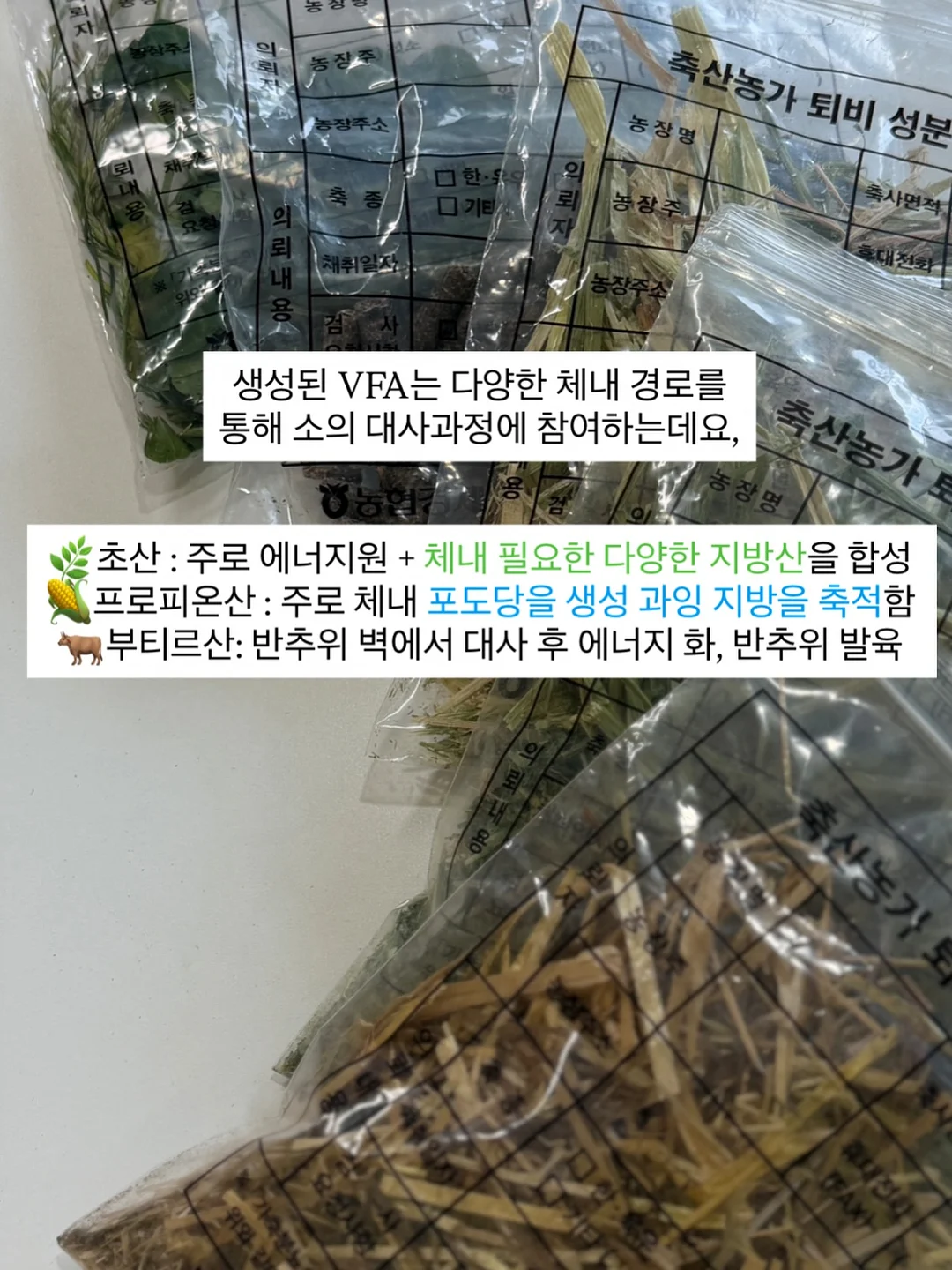 게스트보드 방명록 7