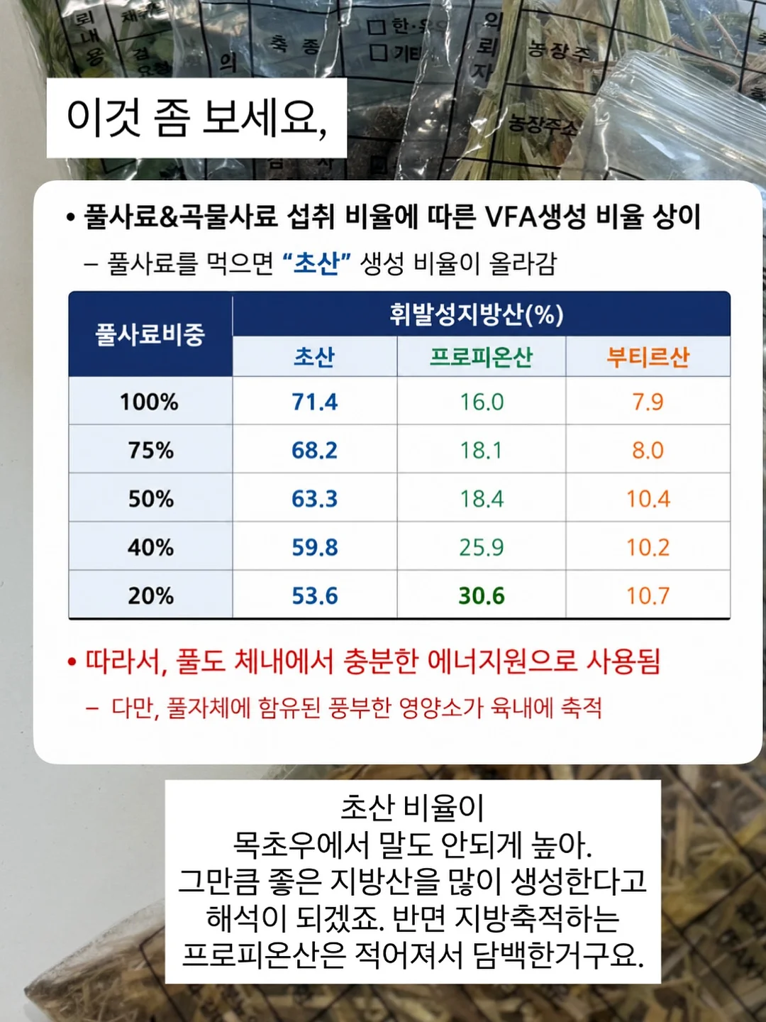 게스트보드 방명록 8
