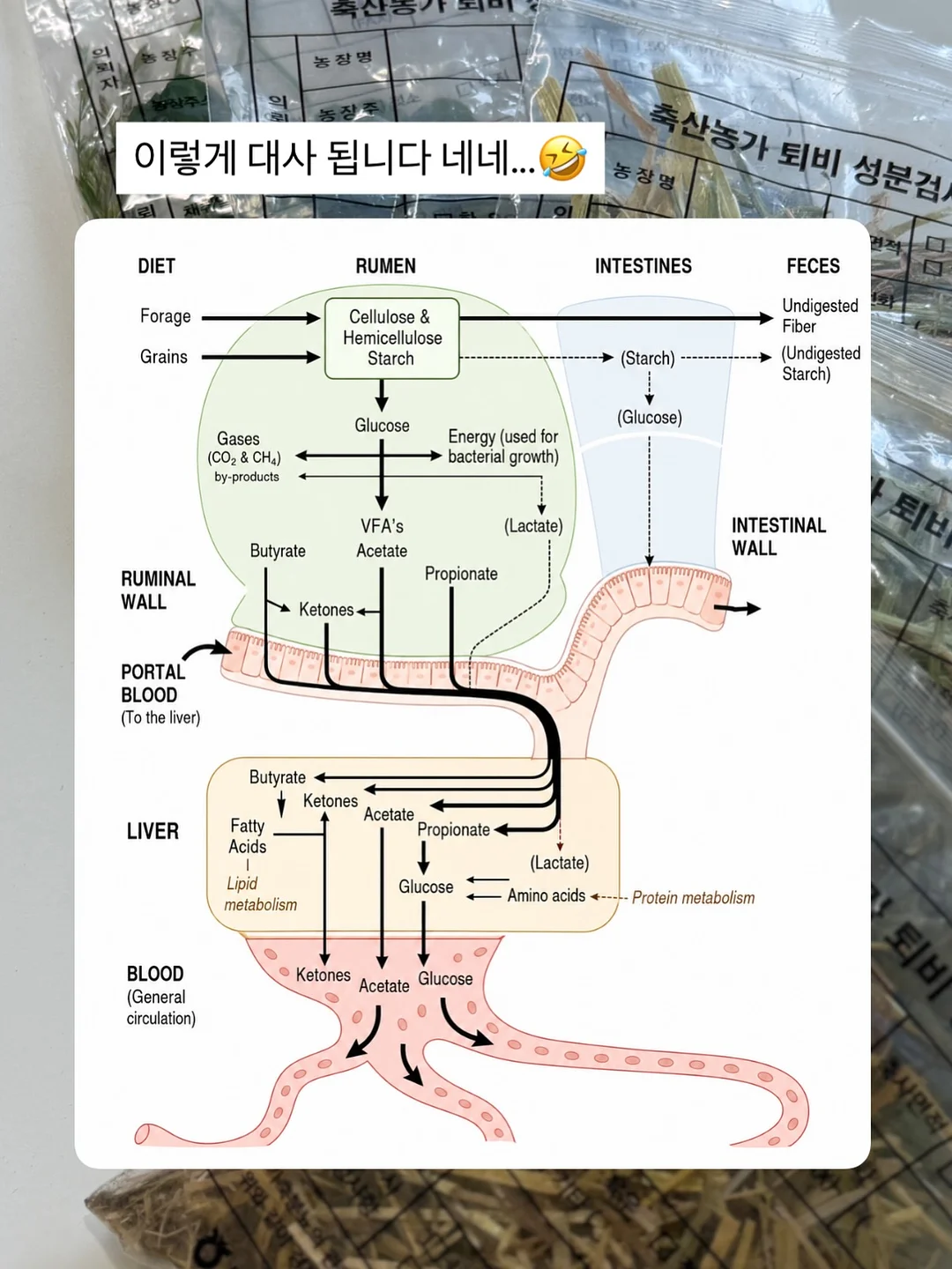 게스트보드 방명록 9