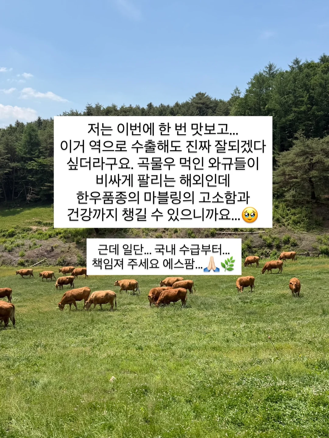 게스트보드 방명록 10