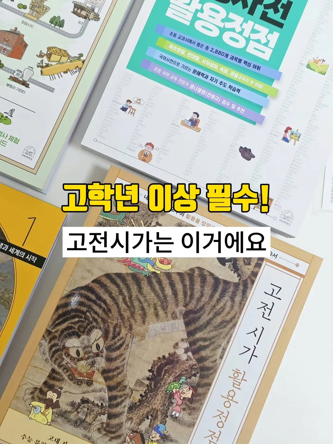 이어플러그