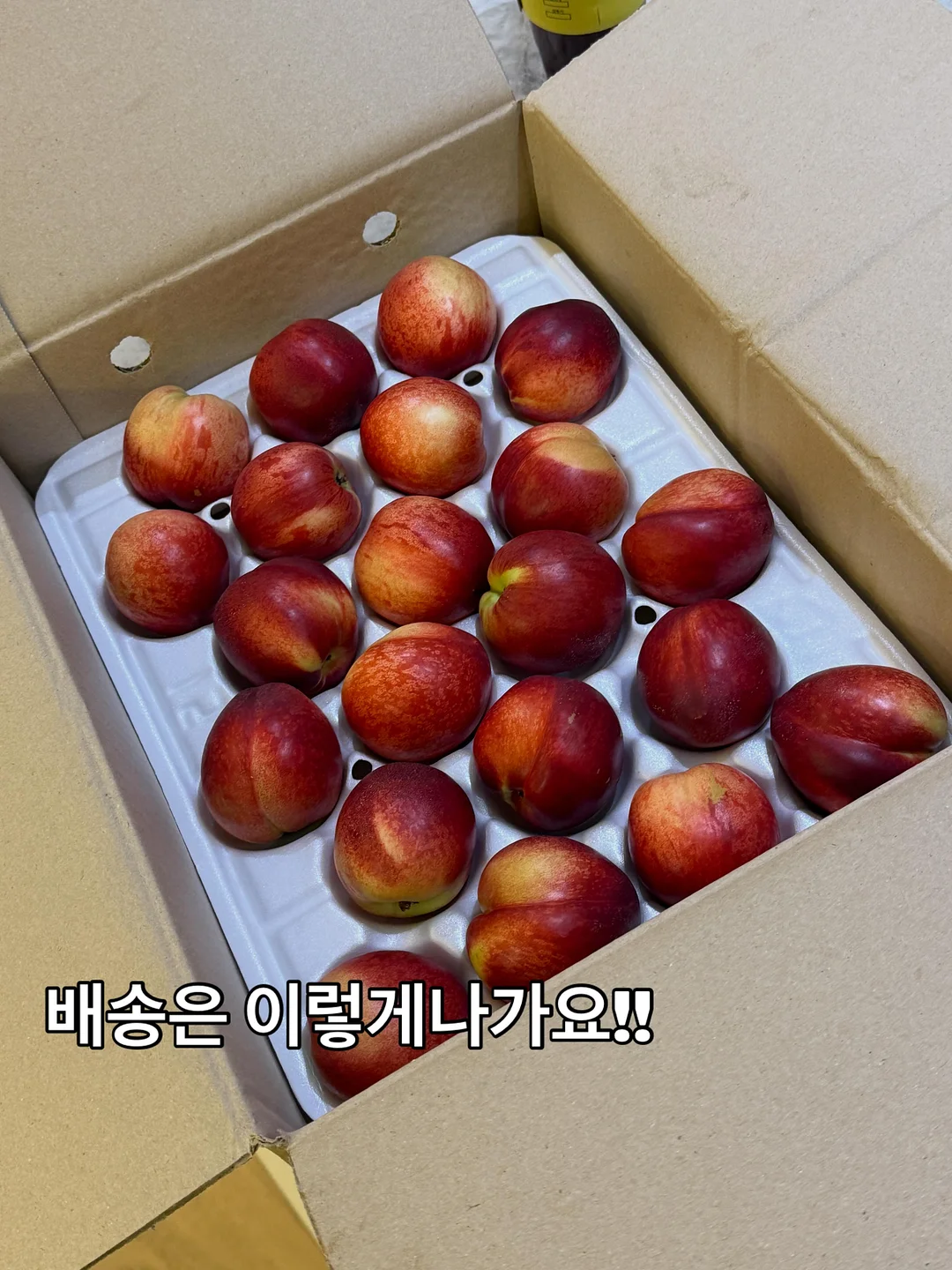 트니플레이볼 티켓 이벤트 13