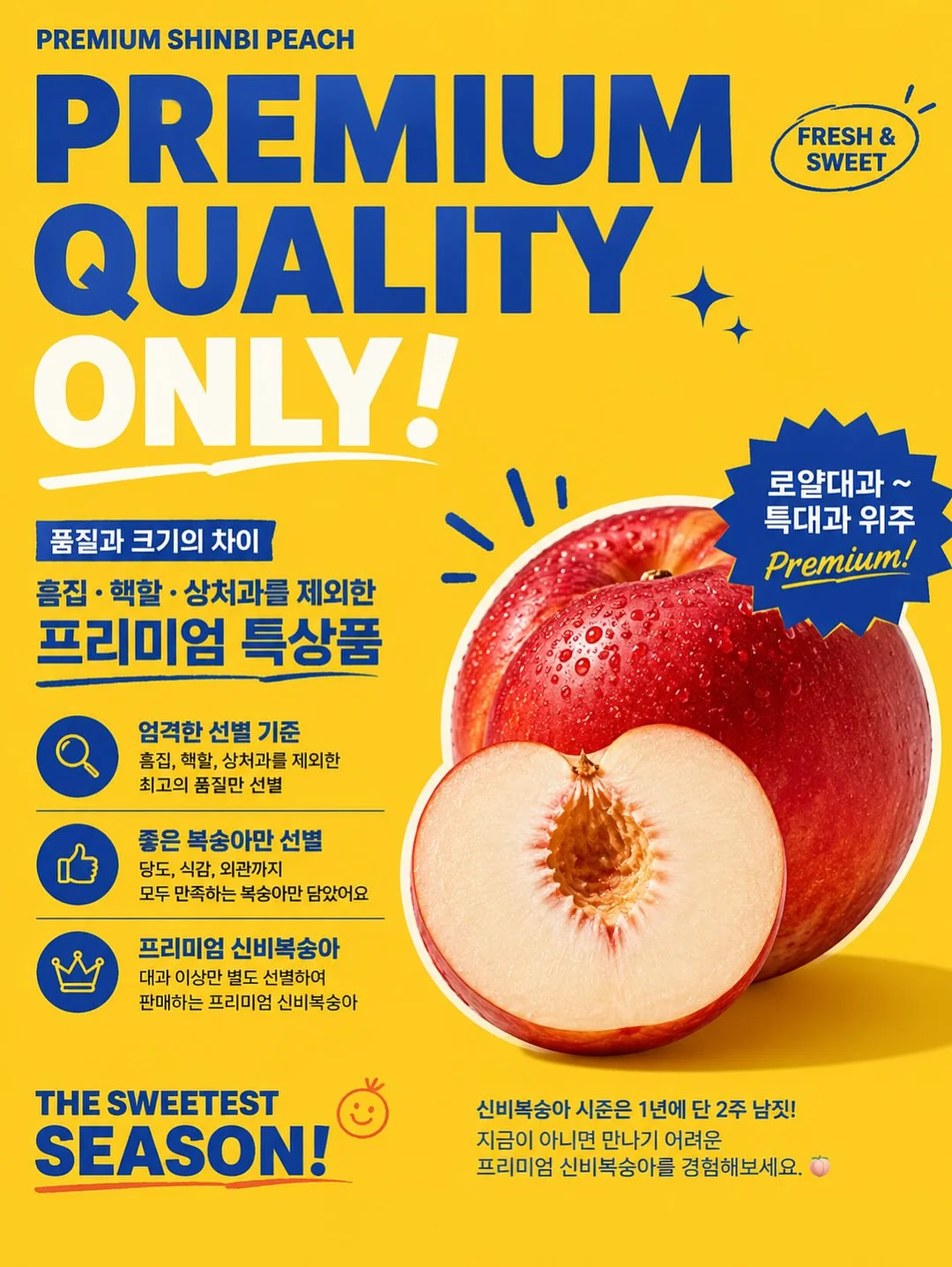 트니플레이볼 티켓 이벤트 16