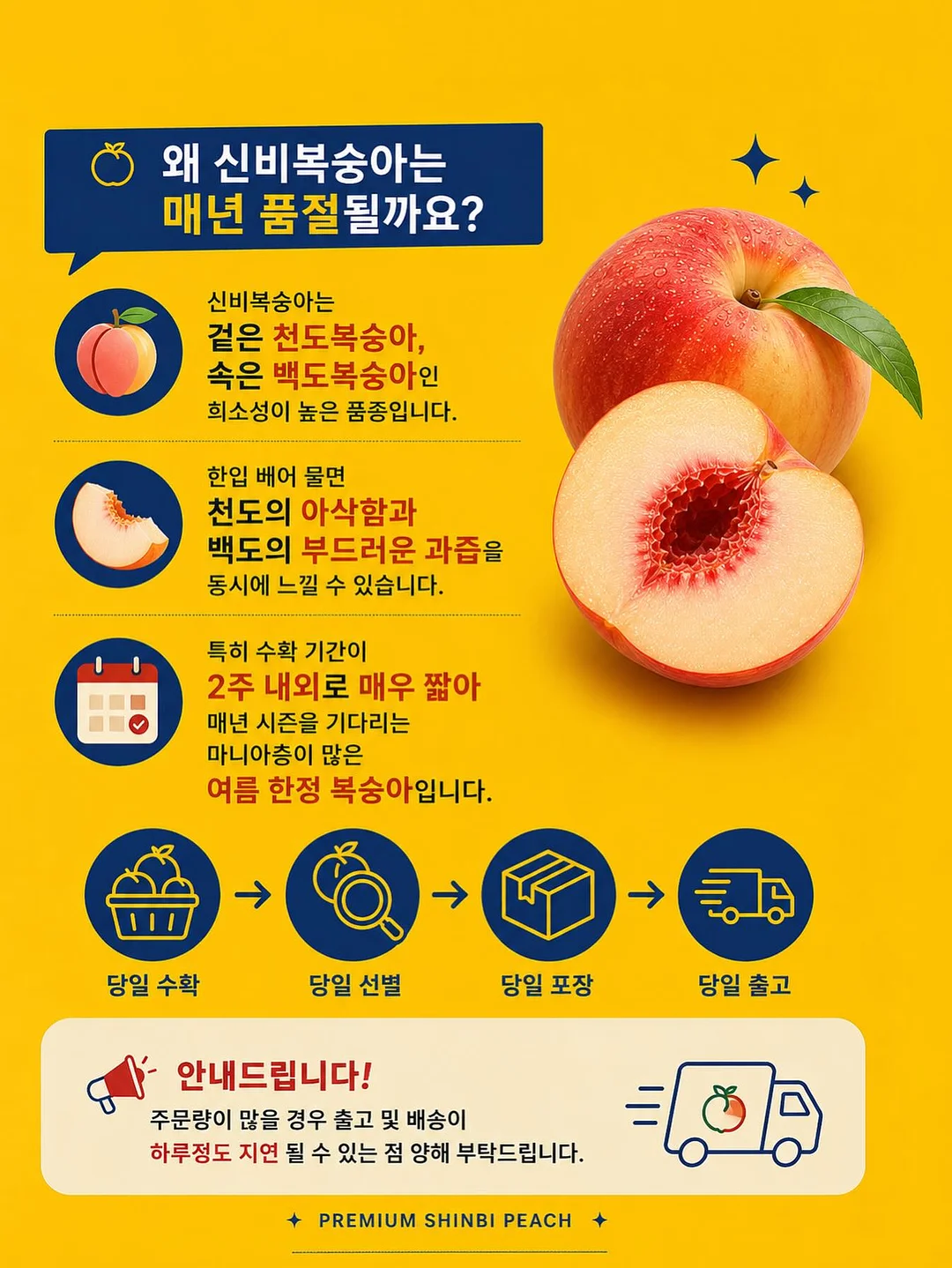 트니플레이볼 티켓 이벤트 17