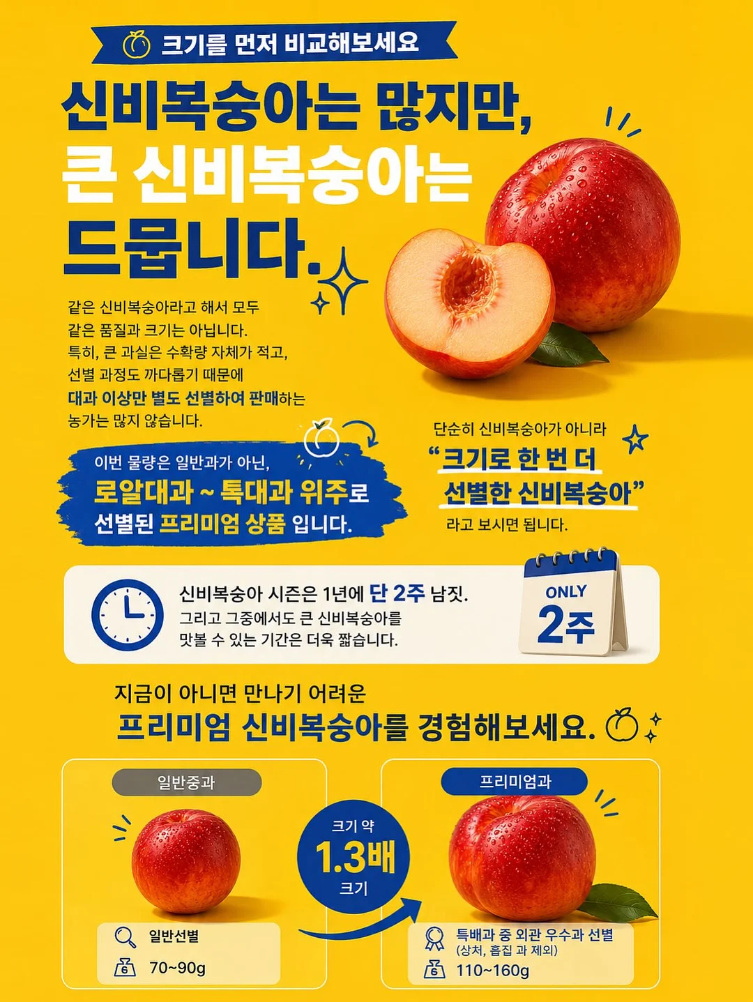 트니플레이볼 티켓 이벤트 18