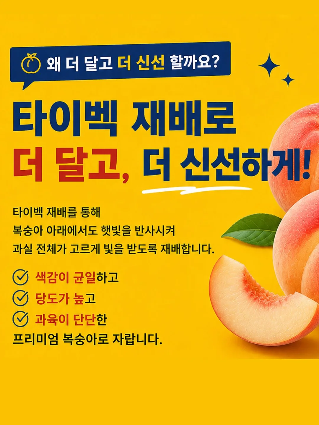 트니플레이볼 티켓 이벤트 19