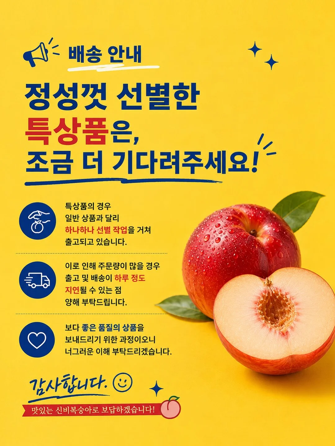 트니플레이볼 티켓 이벤트 20