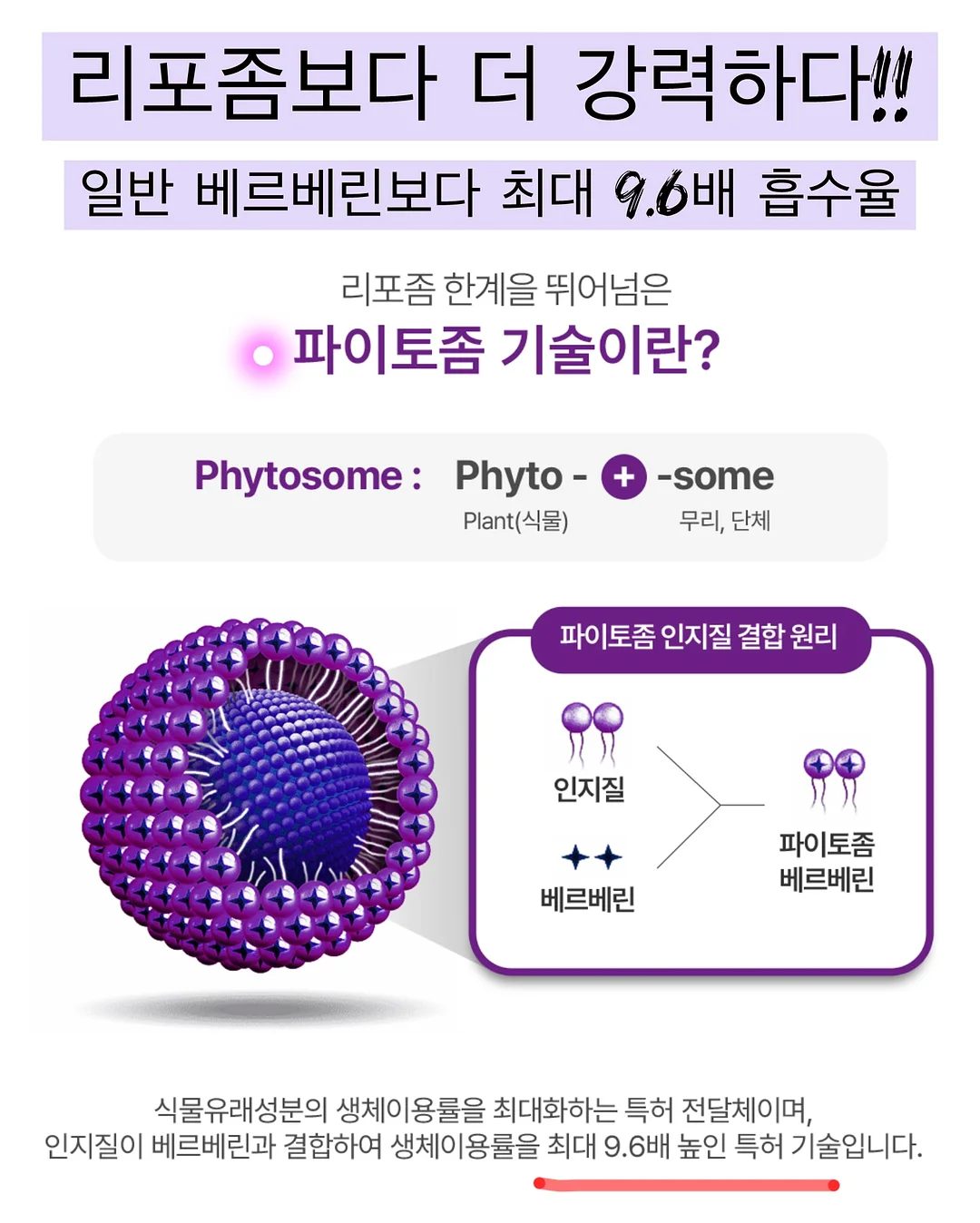 레인부츠 5