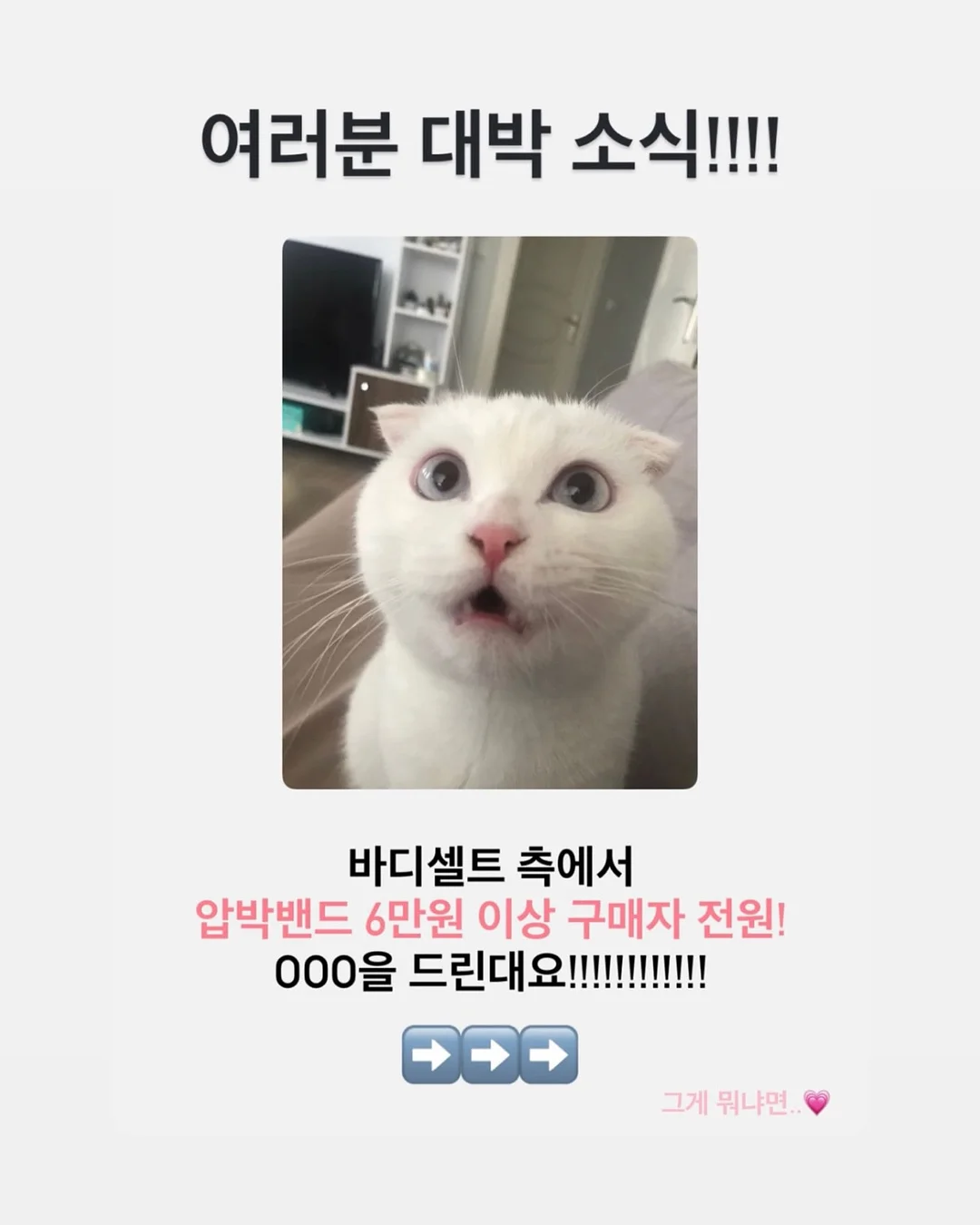 밤바다 체험 2