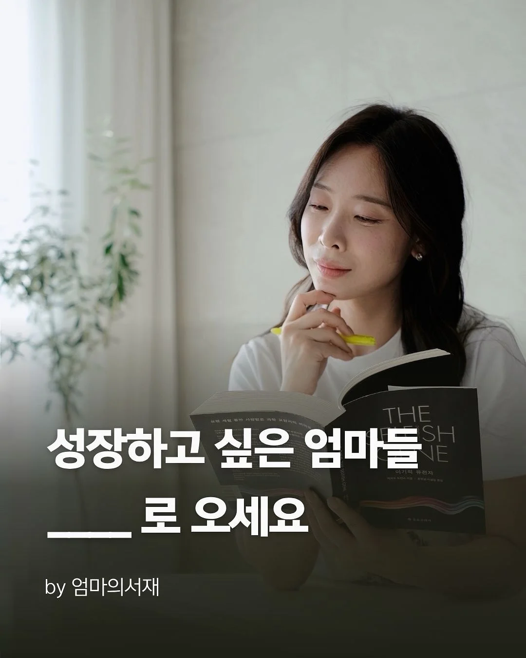 전생패키지 1