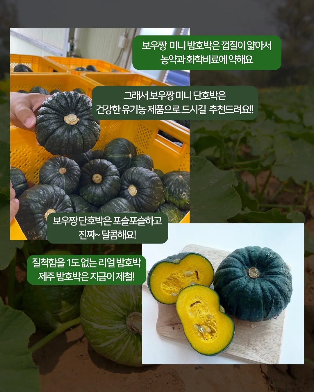 버뮤다랩 에어모션 LED 조명 실링팬 15