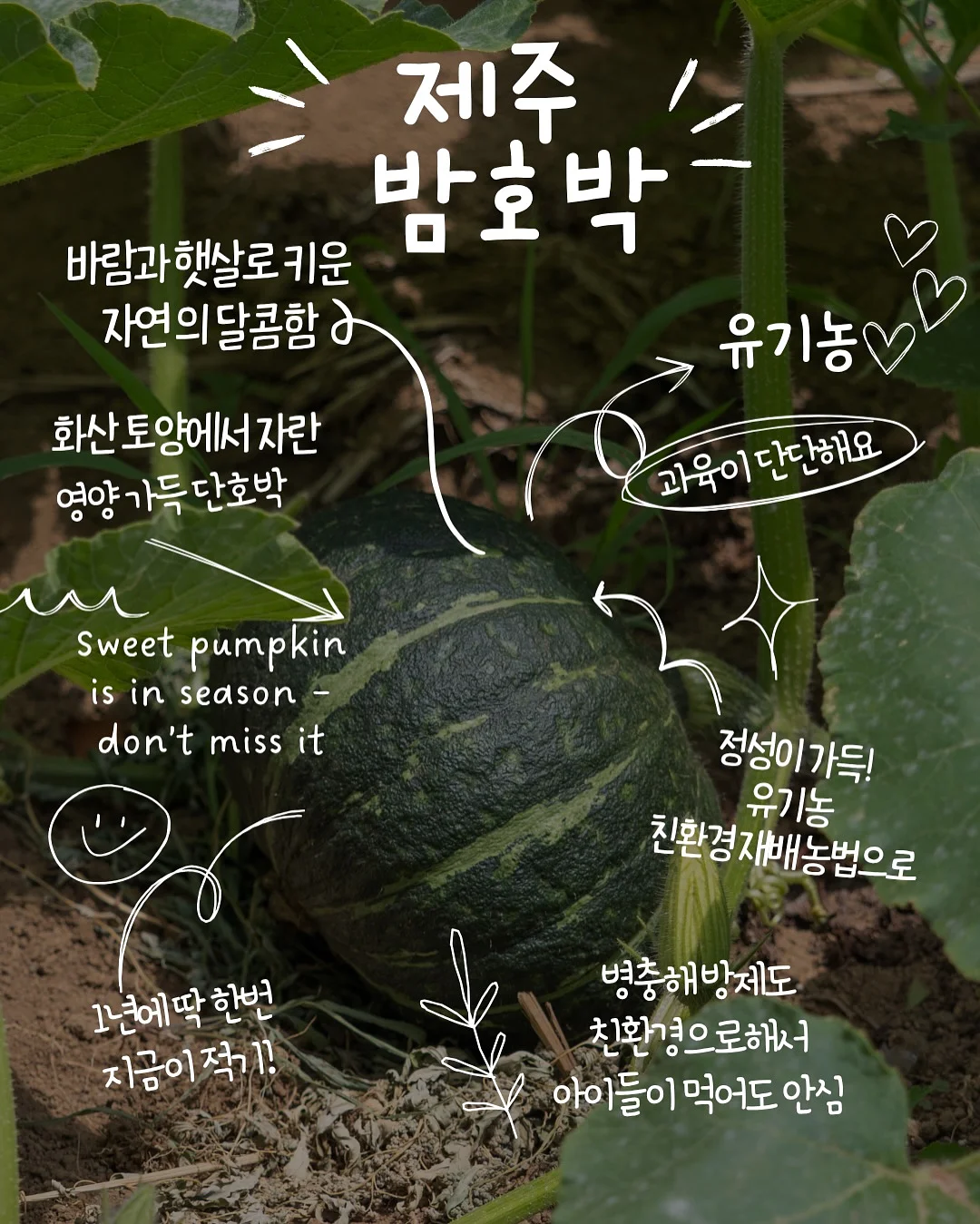 버뮤다랩 에어모션 LED 조명 실링팬 2