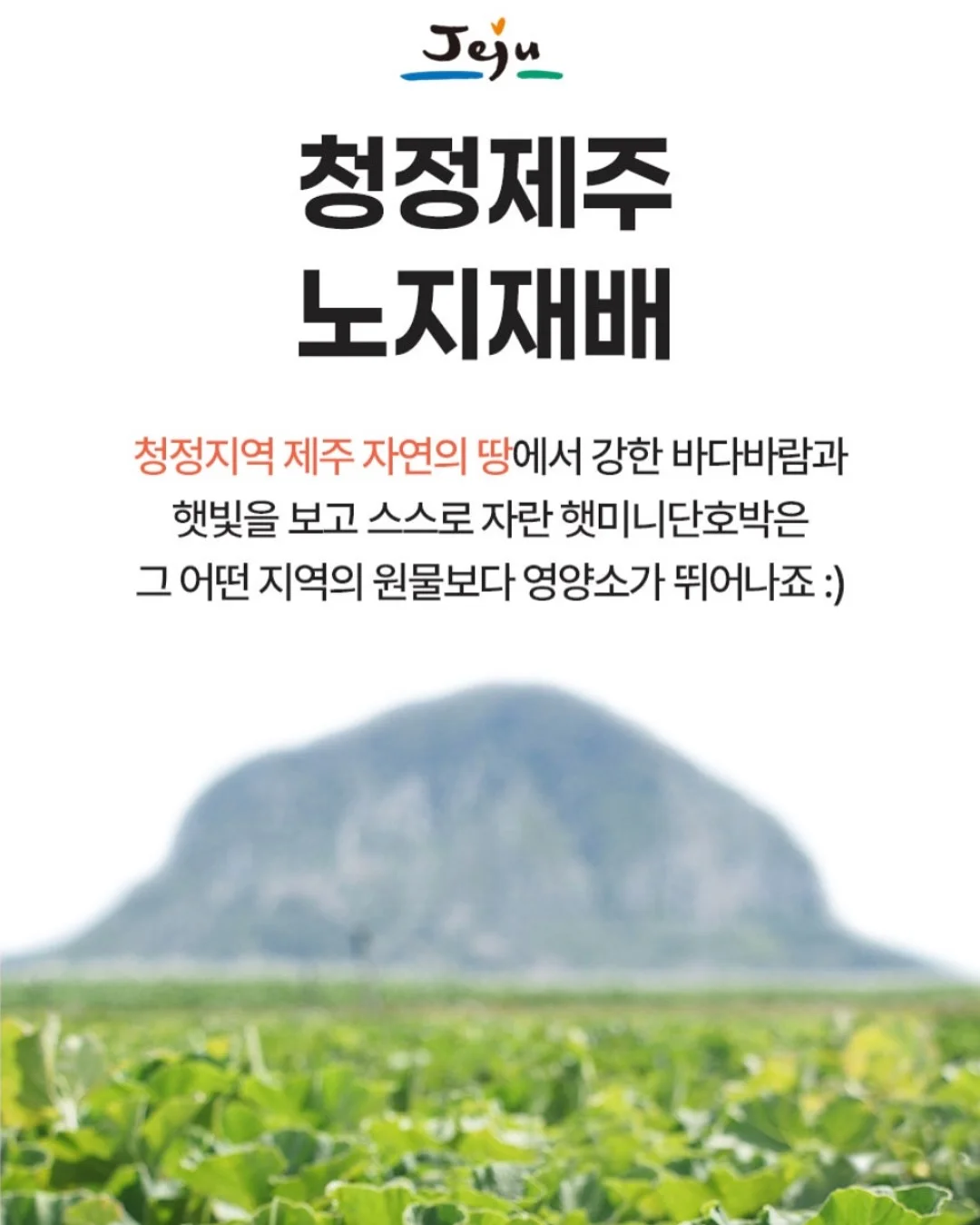 버뮤다랩 에어모션 LED 조명 실링팬 5