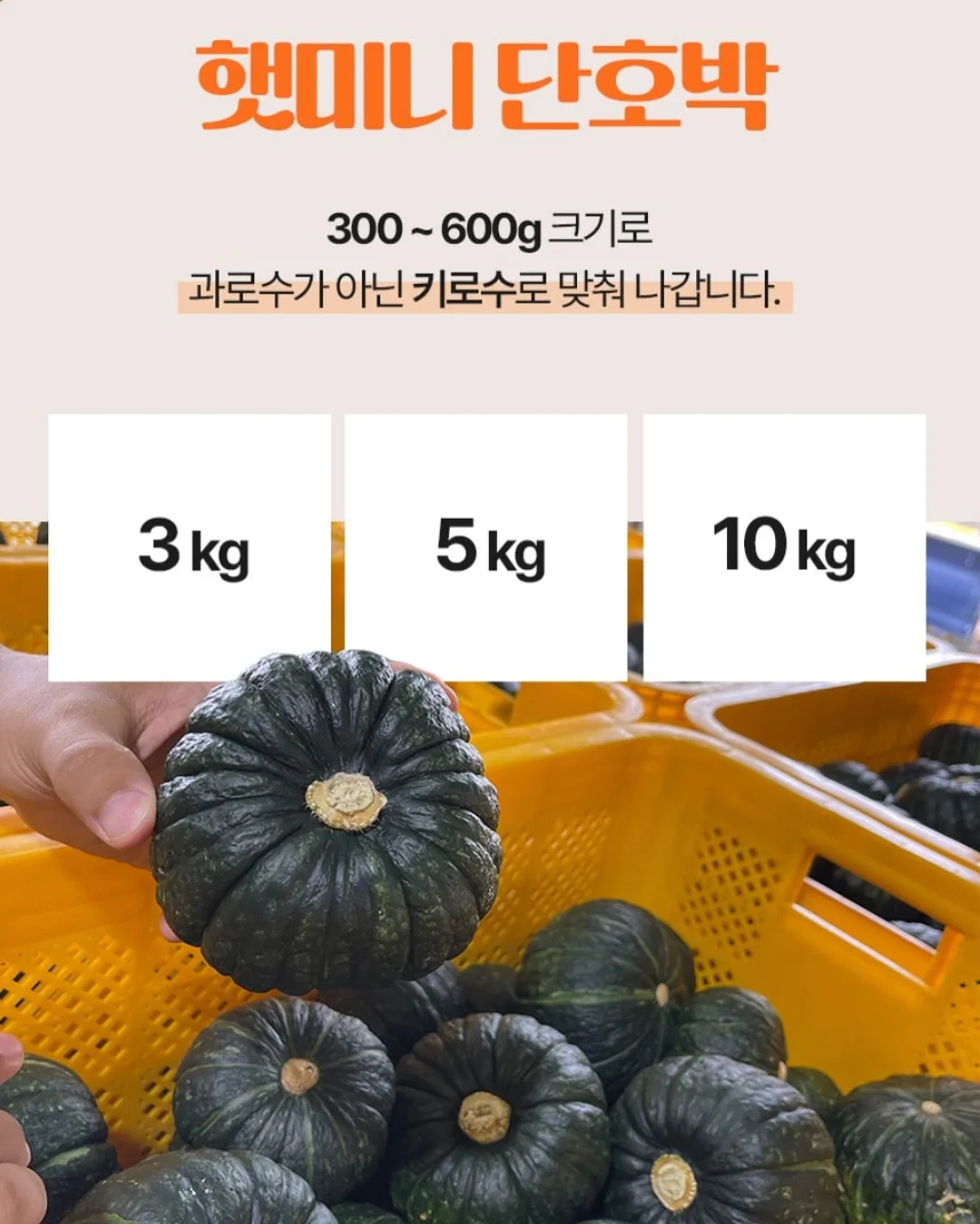 버뮤다랩 에어모션 LED 조명 실링팬 7